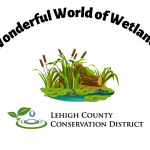Wonderful World of Wetlands*