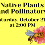 Native Plants and Pollinators