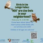 Birds in the Lehigh Valley: "HOO" Are the Owls in Your Neighborhood?