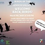 Birds of the Lehigh Valley: Welcome back, birds!