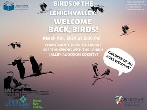 Birds of the Lehigh Valley: Welcome back, birds!