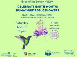 Hummingbirds & Flowers