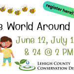 The World Around Us:  Exploring the Outdoors & Everything Yellow
