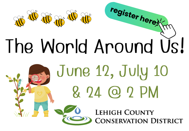 The World Around Us:  Exploring the Outdoors & Everything Yellow