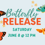 Butterfly Release