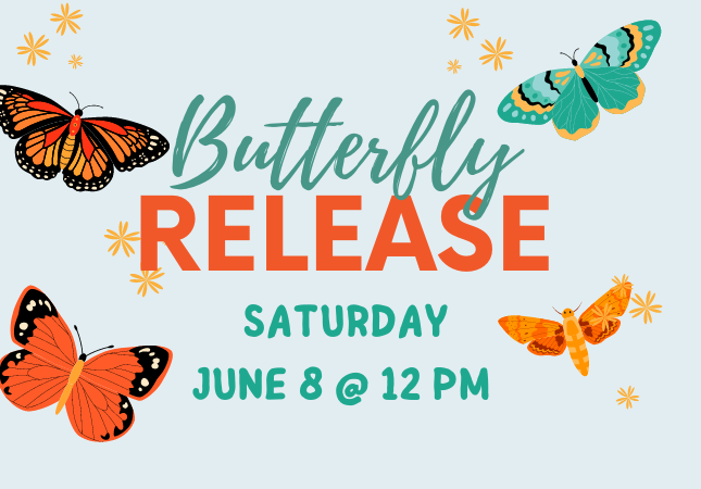 Butterfly Release