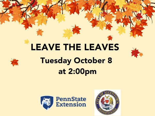 Leave the Leaves