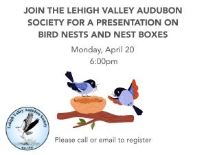 Bird Nests and Nest Boxes Program Information