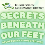 Secrets Beneath Our Feet