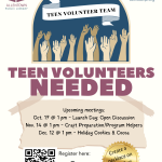 Teen Volunteer Team